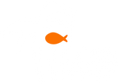 Tiko Tech Accessories Tiko Official Tiko Tech Accessories Tiko Official